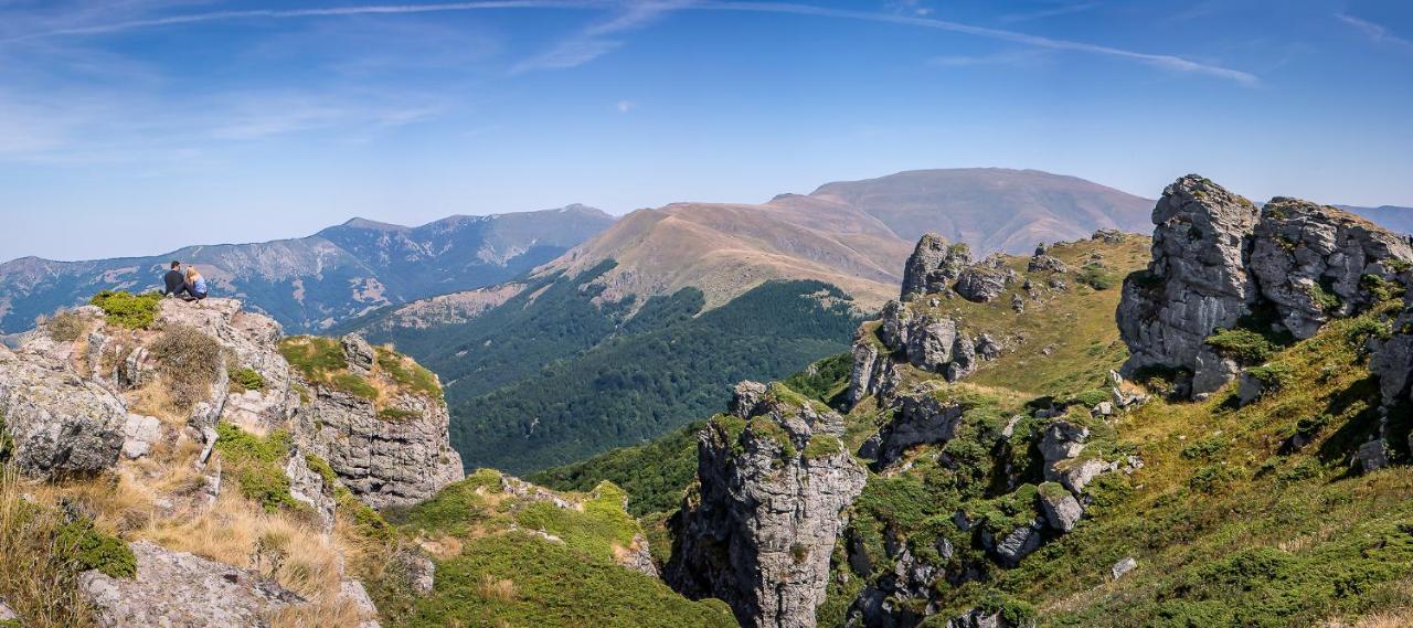 Vila Jelena - Bungalov Crni Vrh Luaran gambar