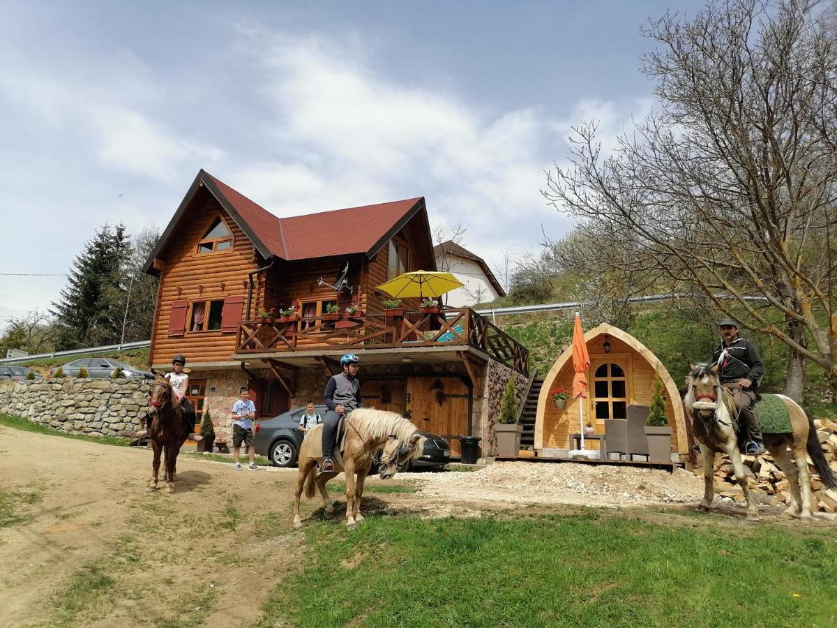 Vila Jelena - Bungalov Crni Vrh Luaran gambar